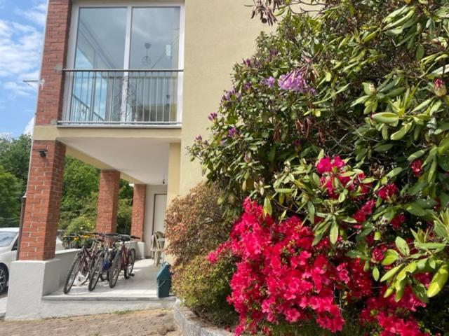 La Casetta Gialla Biella Exterior foto